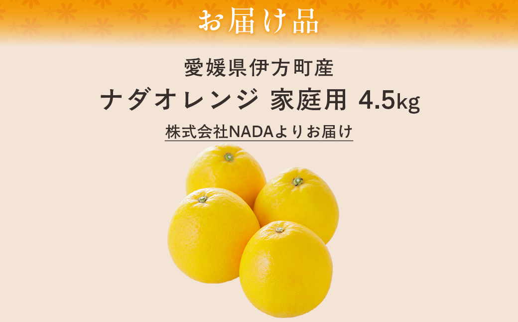 【農家直送】愛媛県産 ナダオレンジ 贈答用 4.5kg（2026年5月中旬より順次発送） IKTC012 