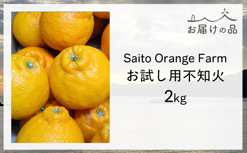 【先行予約】【お試し！】Saito Orange Farmの不知火2kg（2027年3月上旬頃より順次発送予定） IKTAQ013