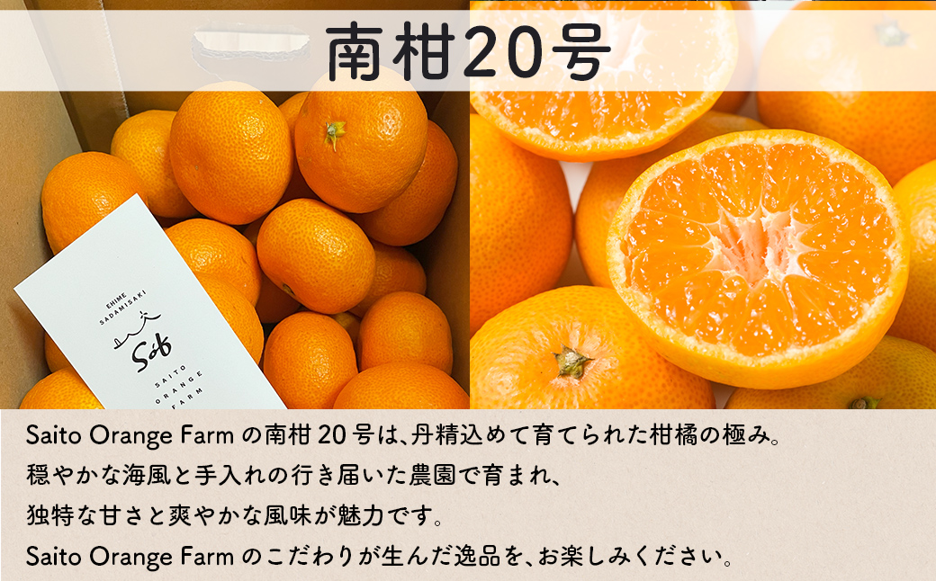 ãå
è¡äºçŽãSaito Orange Farmã®åæ20å·10kgïŒ2025幎12æäžäžæ¬é ããé æ¬¡çºéïŒ IKTAQ019