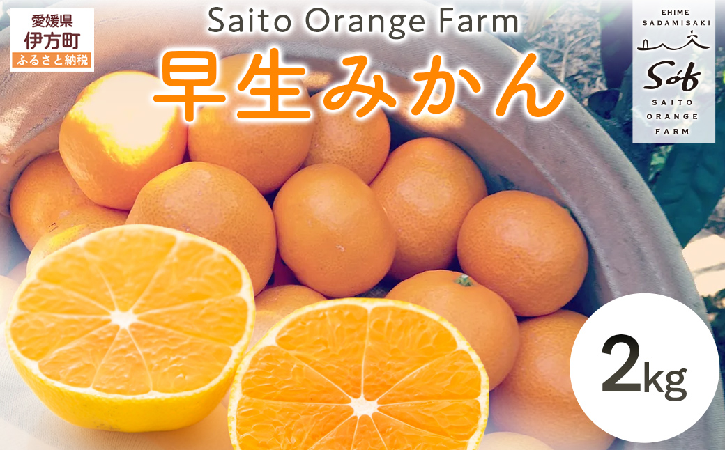 【先行予約】Saito Orange Farmの早生(わせ)みかん2kg（2026年11月下旬頃より順次発送予定） IKTAQ034