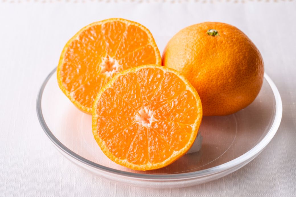 【先行予約】産地直送！愛媛県産温州みかん 7kg（2025年11月上旬より順次発送） IKTF023