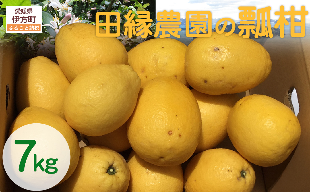 ãå
è¡äºçŽããæ°ééå®ãç°çžèŸ²åã®ç¢æïŒçæïŒ7kg ïŒ2026幎4æ1æ¥ããé æ¬¡çºéïŒ IKTA023