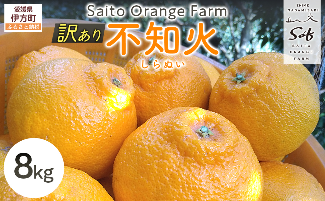 【先行予約】Saito Orange Farmの訳あり不知火8kg（2026年2月下旬頃より順次発送） IKTAQ012