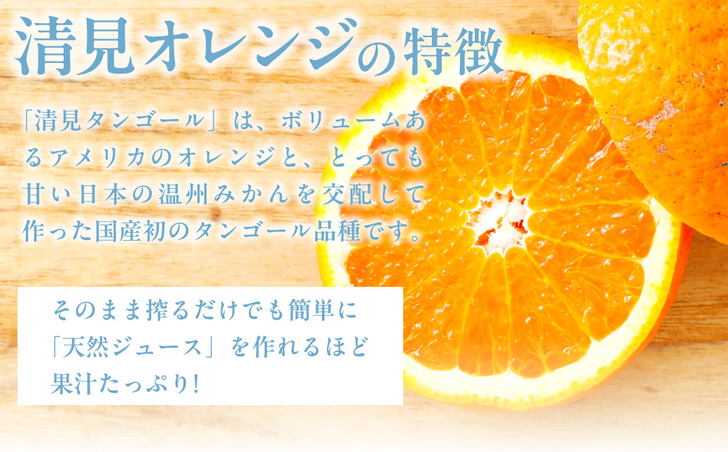 【先行受付】【家庭用】清見オレンジ 10kg ※離島への配送不可 （2026年3月中旬より順次発送） IKTAB008 