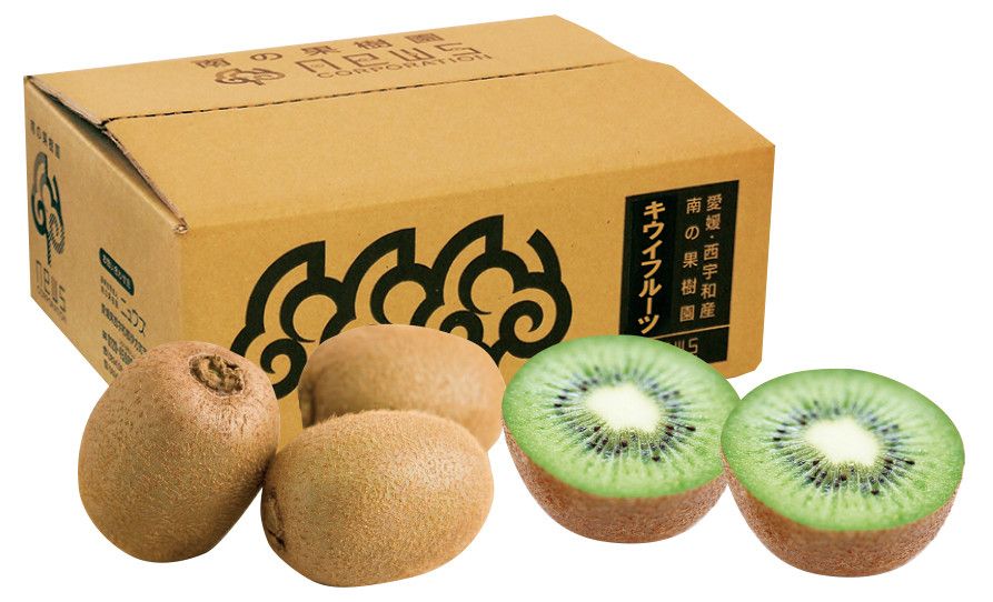 ãå
è¡äºçŽãããŠã€ãã«ãŒãïŒçæïŒ3kgïŒ2025幎11æäžæ¬ããé æ¬¡çºéïŒ IKTF024