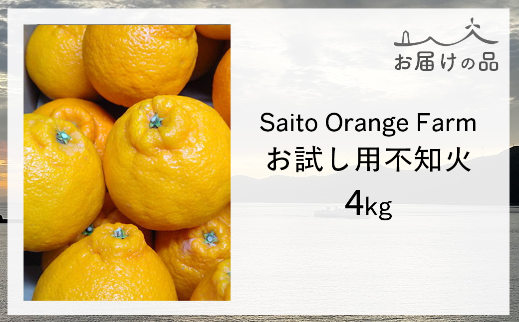 縲仙郁。御コ育エ縲代舌♀隧ヲ縺暦シ√全aito Orange Farm縺ョ荳咲衍轣ォ4kgシ2027蟷エ3譛井ク頑流鬆繧医j鬆谺。逋コ騾∽コ亥ョ夲シ IKTAQ014