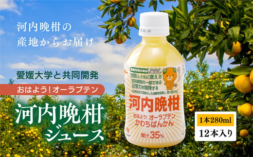 おはよう！オーラプテン河内晩柑ジュース（280ml×12本） ｜ 280ml 河内晩柑 愛南ゴールド 美生柑 みかん 機能性表示食品 オーラプテン 柑橘 飲料 中高年 記憶 認知 ジュース 健康 美容 はちみつ 伊方町 愛媛県 愛南町