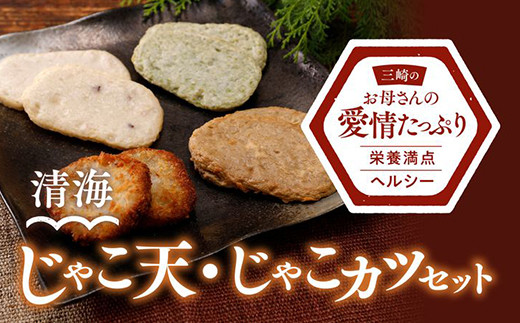 練り物 清海 じゃこ天 15枚（じゃこ天・いか天・のり天 各5枚）＋じゃこカツ 5枚 ｜ 練り物 冷凍 名産 郷土料理 ご当地グルメ おつまみ おかず お弁当 愛媛