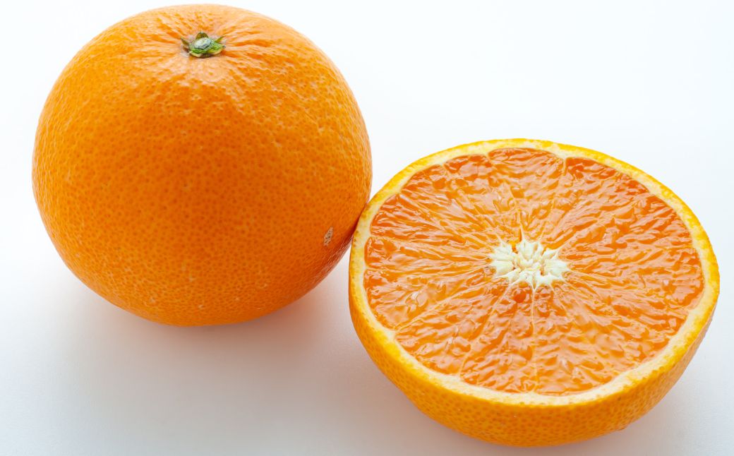 清見タンゴール 8kg ※北海道、沖縄・離島への配送不可（2026年3月中旬ごろから順次発送）　IKTAP003