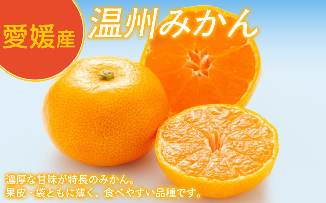 Premium縺ソ縺九s繧ク繝・繝シ繧ケシ2譛ャ繧サ繝繝茨シ俄サ蛹玲オキ驕薙サ豐也ク繝サ髮「蟲カ縺ク縺ョ驟埼∽ク榊庄 IKTAT002