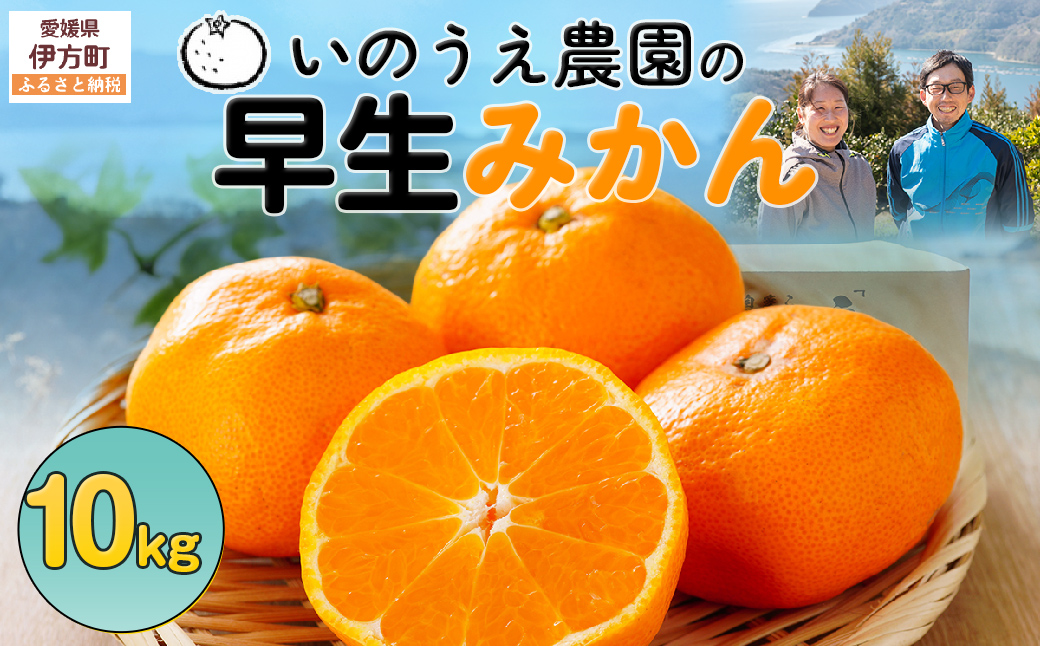【先行予約】いのうえ農園の早生みかん 10kg ※離島への配送不可（2025年11月中旬より順次発送） IKTAI010