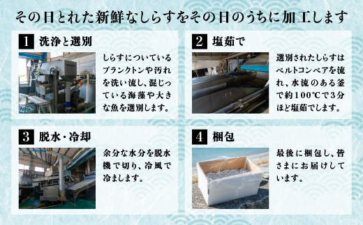 【佐田岬・漁師直送】【3ヵ月連続定期便】 木嶋水産の釜揚げしらす 6kg（1回250g×8P×3回) ｜ 魚介類 海産物 魚 釜揚げ しらす シラス 小分け やみつき ご飯のお供 おつまみ 酒の肴 おやつ しらす丼 サラダ 海産物 冷凍 国産 愛媛県産 ※離島への配送不可