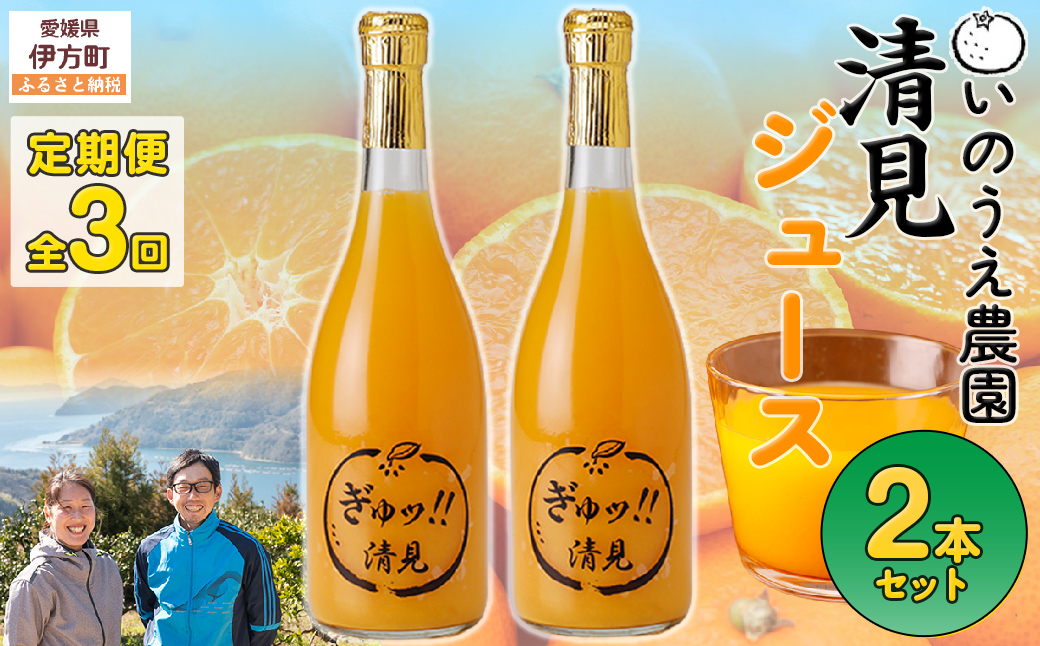 【定期便】いのうえ農園 清見ジュース2本セット 全3回※離島への配送不可 IKTAI030