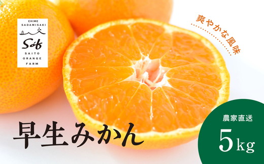 【先行予約】Saito Orange Farmの早生(わせ)みかん5kg ｜ 柑橘 みかん ミカン フルーツ  果物 愛媛　※離島への配送不可　※2024年11月中旬頃より順次発送予定