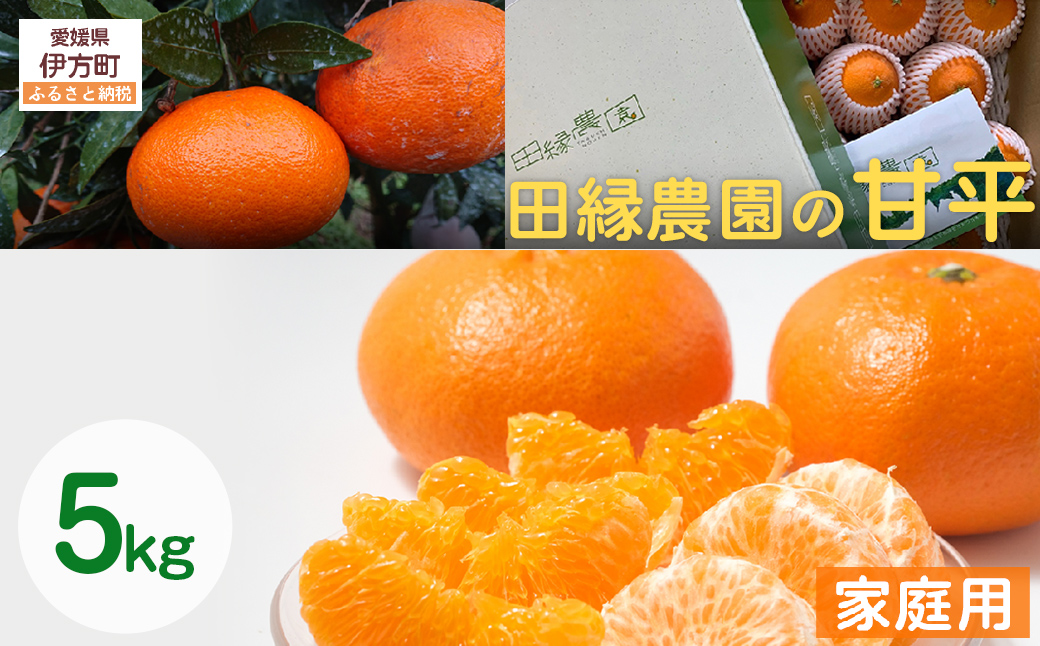 [先行予約][家庭用]甘平 5kg ※離島への配送不可 (2026年1月25日より順次発送)