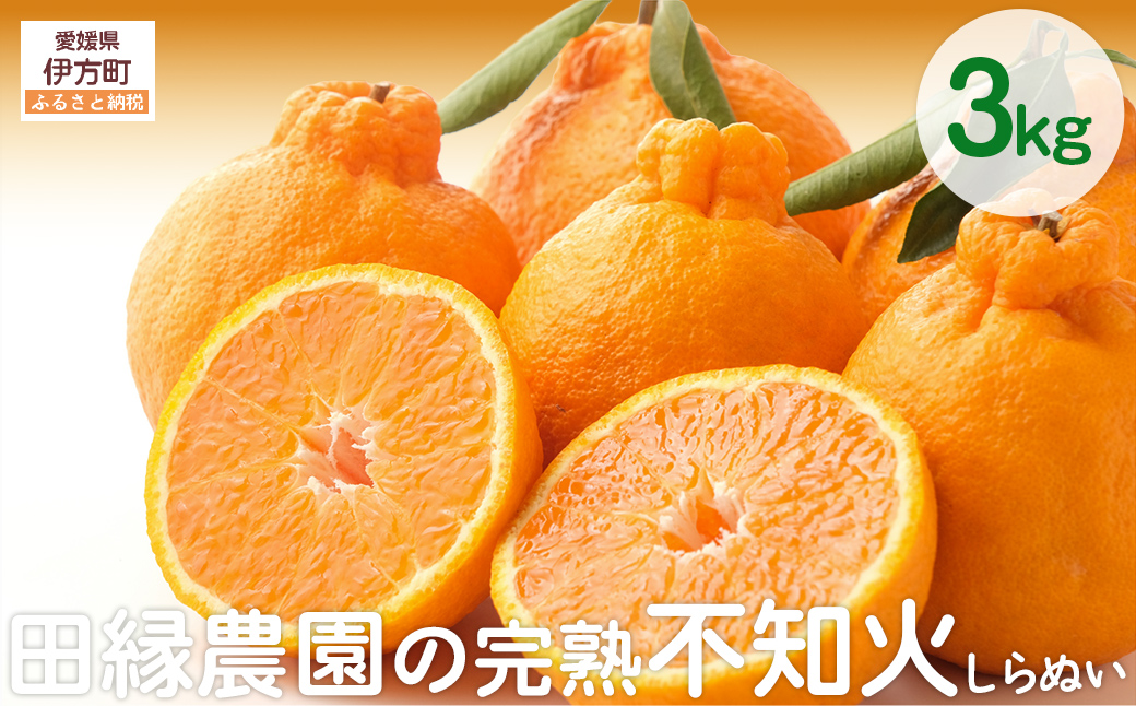 【先行予約】【数量限定】田縁農園の完熟不知火（しらぬい）3kg ※離島への配送不可 （2026年3月20日より順次発送） IKTA019
