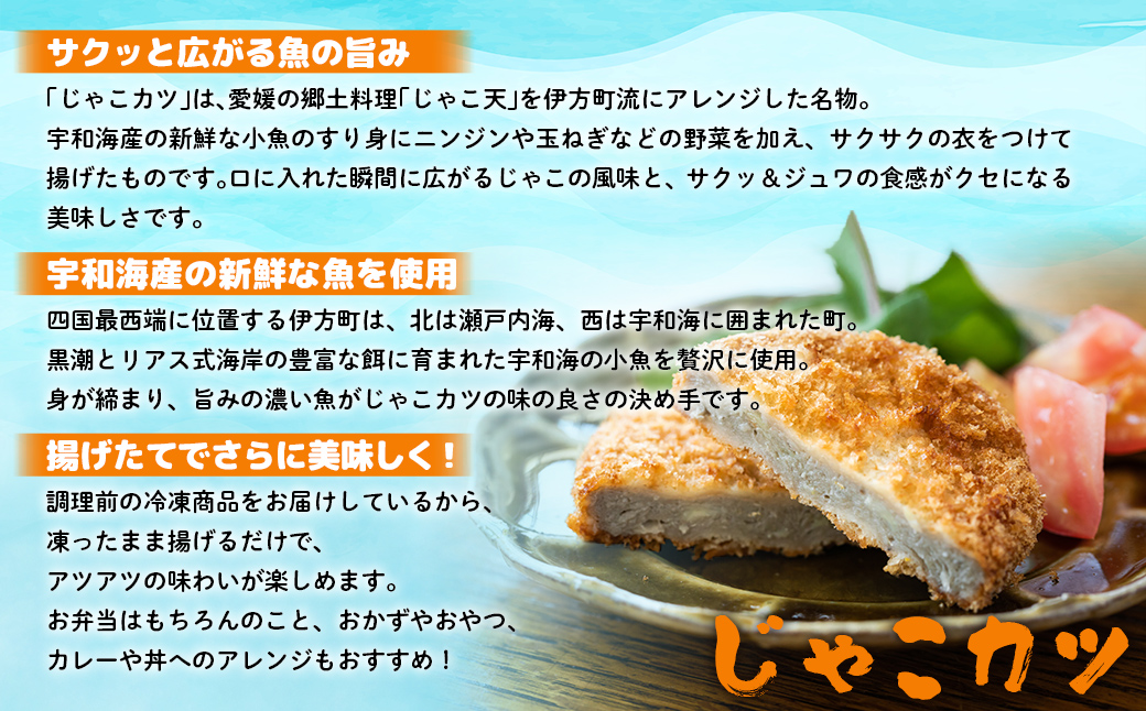 【愛媛県伊方町名産】じゃこカツ（3枚入り×5パック） IKTI001