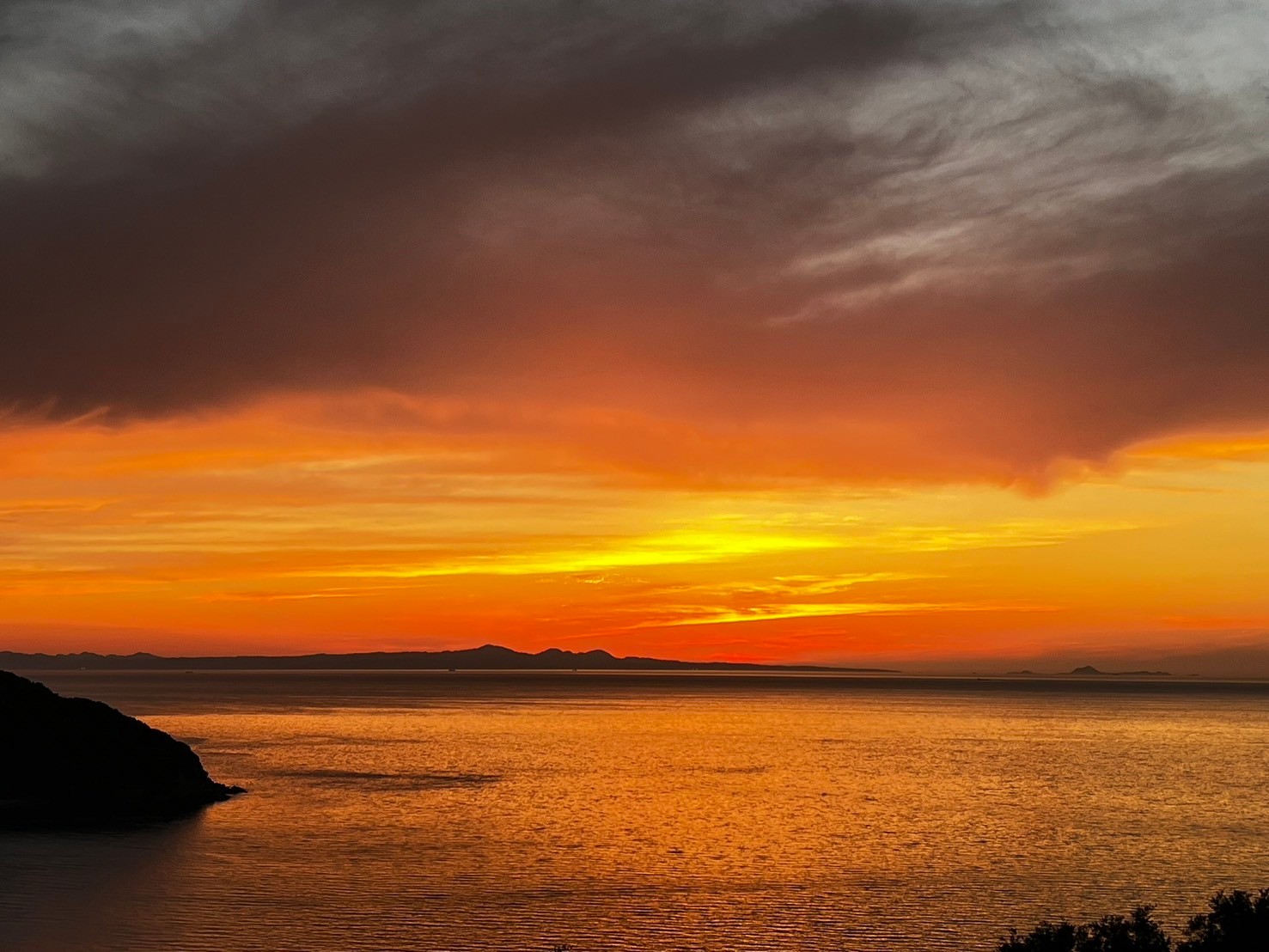 【先行予約】【家庭用】不知火 約5kg | 柑橘 みかん 果物 フルーツ 愛媛県産 農家直送　※離島への配送不可　※2026年2月中旬より順次発送予定  IKTAU008