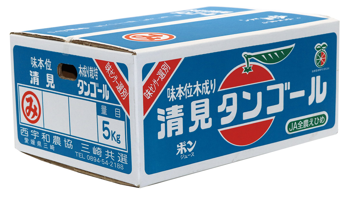 【先行予約】清見タンゴール（生果5kg）※離島への配送不可（2026年3月上旬より順次発送予定） IKTBD015
