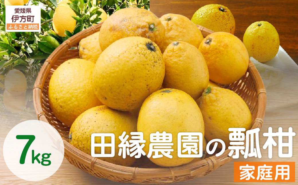 【数量限定】家庭用 瓢柑(7kg) 訳あり ※北海道・沖縄・離島への配送不可 （2026年4月1日より順次発送） IKTA021