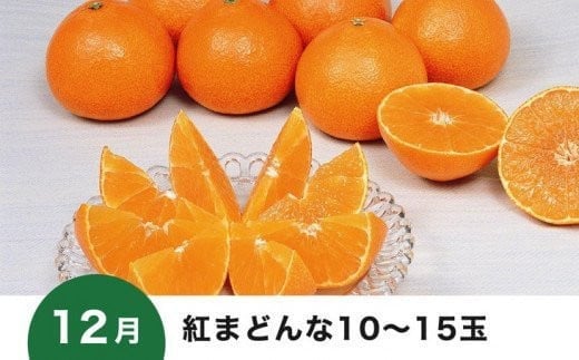 【愛媛県共通返礼品】【定期便】愛媛の柑橘定期便（全6回）（日の丸みかん・紅まどんな・いよかん・甘平・せとか・河内晩柑） ※2024年11月～2025年4月に毎月1回発送予定◇