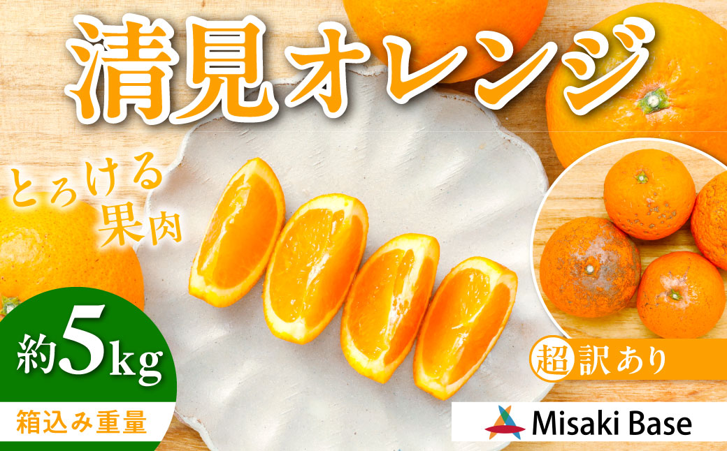 【先行受付】【※超訳あり】清見オレンジ 5kg ※離島への配送不可 （2026年3月中旬より順次発送） IKTAB009 