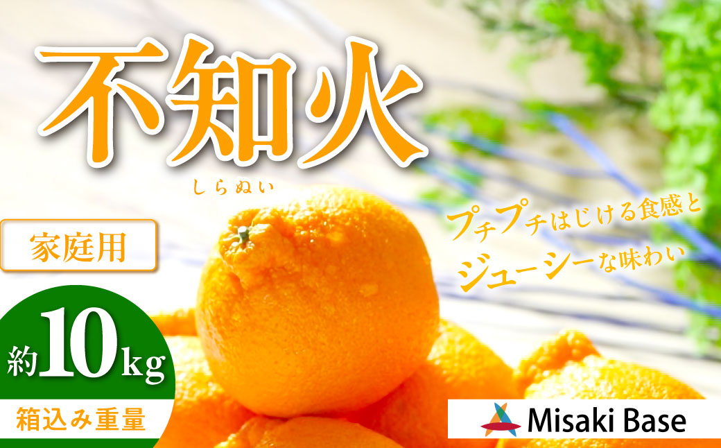 【先行受付】【家庭用】不知火（しらぬい） 10kg ※離島への配送不可 （2026年2月中旬より順次発送）　IKTAB004
