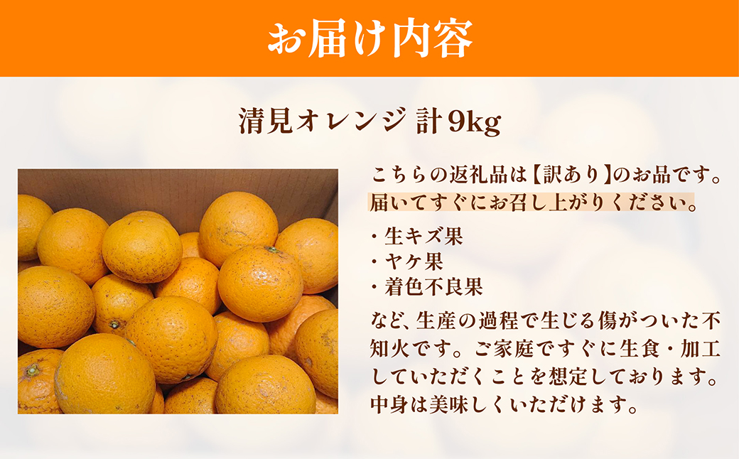 縲仙郁。御コ育エ縲題ィウ縺ゅj 貂隕九が繝ャ繝ウ繧ク險9kg 窶サ髮「蟲カ縺ク縺ョ驟埼∽ク榊庄シ2026蟷エ3譛井ク頑流鬆繧医j鬆谺。逋コ騾∽コ亥ョ夲シ IKTAC009