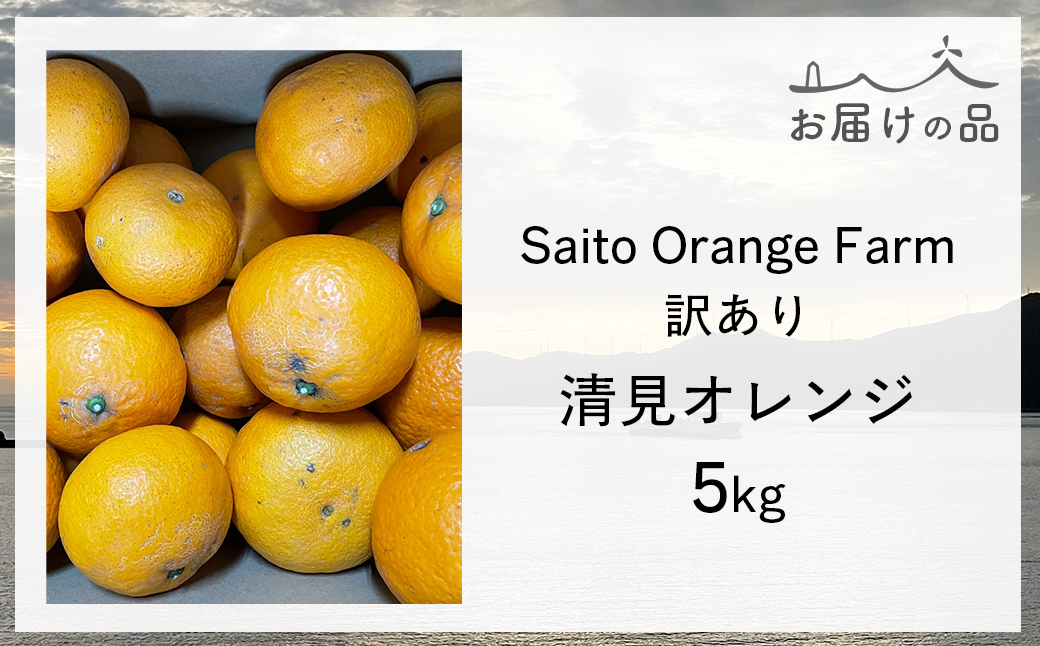 【先行予約】Saito Orange Farmの訳あり清見オレンジ5kg（2026年3月中旬頃より順次発送） IKTAQ009