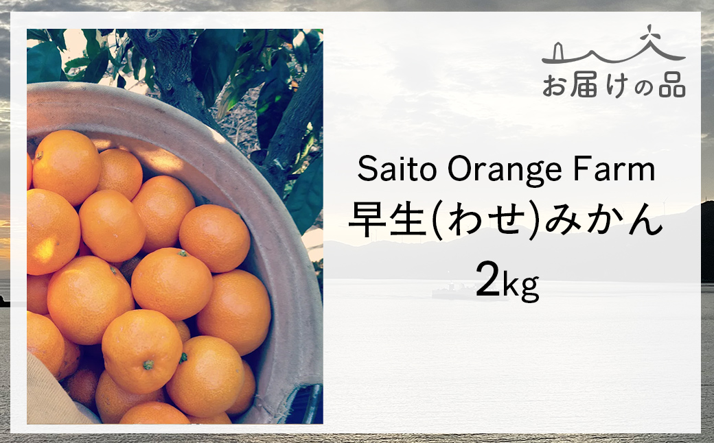 【先行予約】Saito Orange Farmの早生(わせ)みかん2kg（2026年11月下旬頃より順次発送予定） IKTAQ034