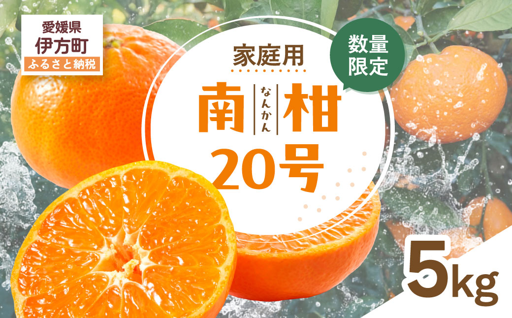 【先行受付】【数量限定】【家庭用】南柑20号（生果）5kg（2026年12月上旬頃より順次発送） IKTQ011