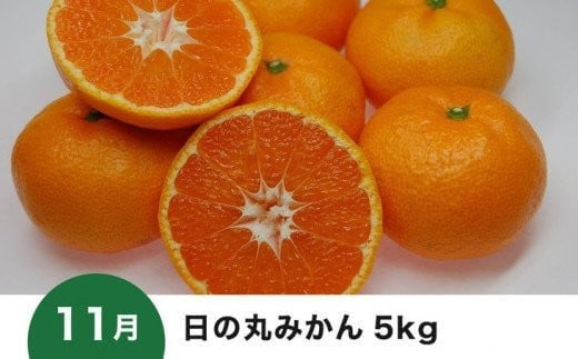 【愛媛県共通返礼品】【定期便】愛媛の柑橘定期便（全6回）（日の丸みかん・紅まどんな・いよかん・甘平・せとか・河内晩柑） ※2024年11月～2025年4月に毎月1回発送予定◇