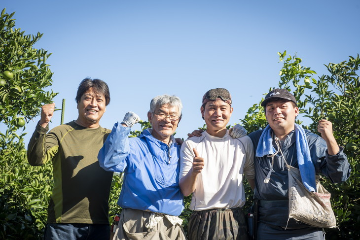 【先行予約】【数量限定】【訳あり】浅野農園の甘平（かんぺい）5kg｜柑橘 みかん ミカン フルーツ 果物 愛媛 有名 代表 高級 ※2025年2月中旬頃より順次発送予定 ※離島への配送不可