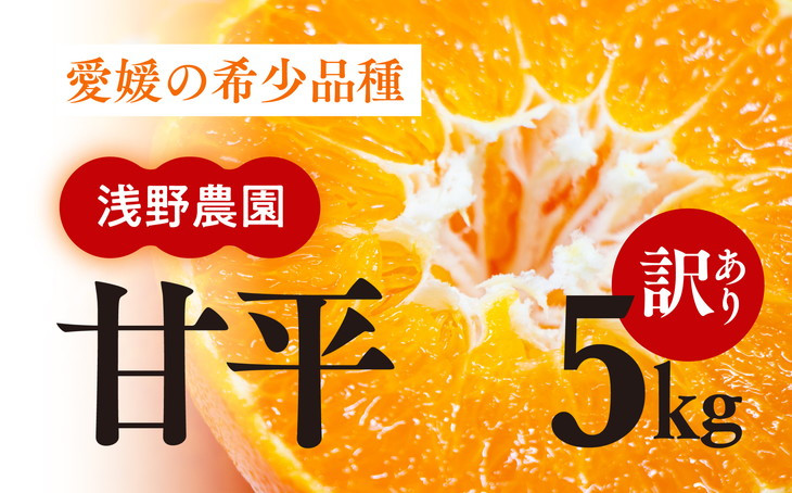 【先行予約】【数量限定】【訳あり】浅野農園の甘平（かんぺい）5kg｜柑橘 みかん ミカン フルーツ 果物 愛媛 有名 代表 高級 ※2025年2月中旬頃より順次発送予定 ※離島への配送不可