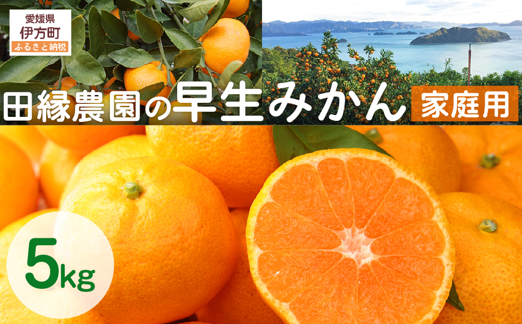 【先行予約】【家庭用】早生みかん 5kg ※離島への配送不可 （2025年11月10日より順次発送） IKTA040