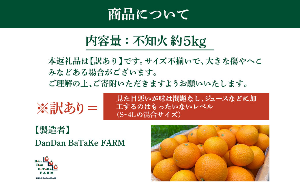 【先行予約】【訳あり】不知火 約5kg　※2027年2月下旬より順次発送予定 IKTAU016