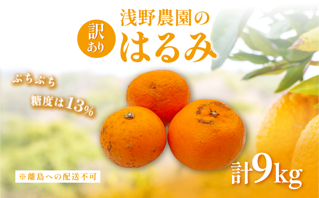 ãå
è¡äºçŽããèš³ãããæµ
é蟲åã®ã¯ãã¿ 9kg â»é¢å³¶ãžã®é
éäžå¯ïŒ2026幎2æäžæ¬é ããé æ¬¡çºéäºå®ïŒ IKTAC032