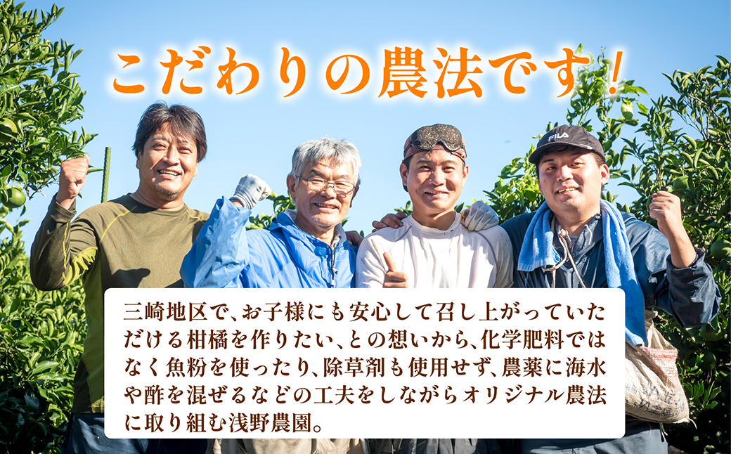 【先行予約】【訳あり】浅野農園のサンフルーツ 10kg ※離島への配送不可（2026年3月中旬頃より順次発送予定） IKTAC011