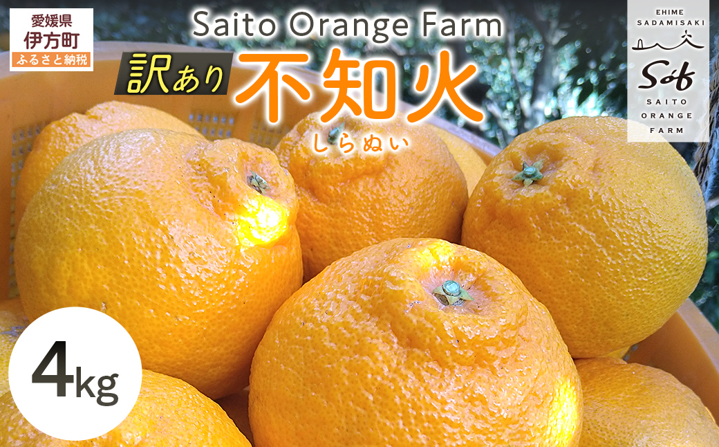 【先行予約】Saito Orange Farmの訳あり不知火4kg（2026年2月下旬頃より順次発送） IKTAQ011