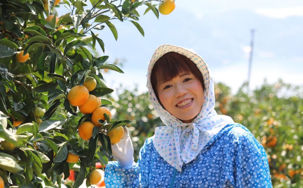 Premium縺ソ縺九s繧ク繝・繝シ繧ケシ2譛ャ繧サ繝繝茨シ俄サ蛹玲オキ驕薙サ豐也ク繝サ髮「蟲カ縺ク縺ョ驟埼∽ク榊庄 IKTAT002
