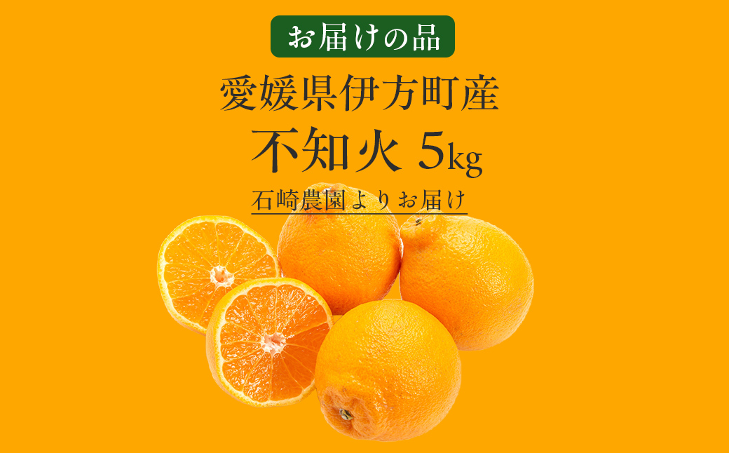 【先行予約】【数量限定】不知火5kg（石崎農園）※離島への配送不可 （2026年2月10日より順次発送予定） IKTAG002