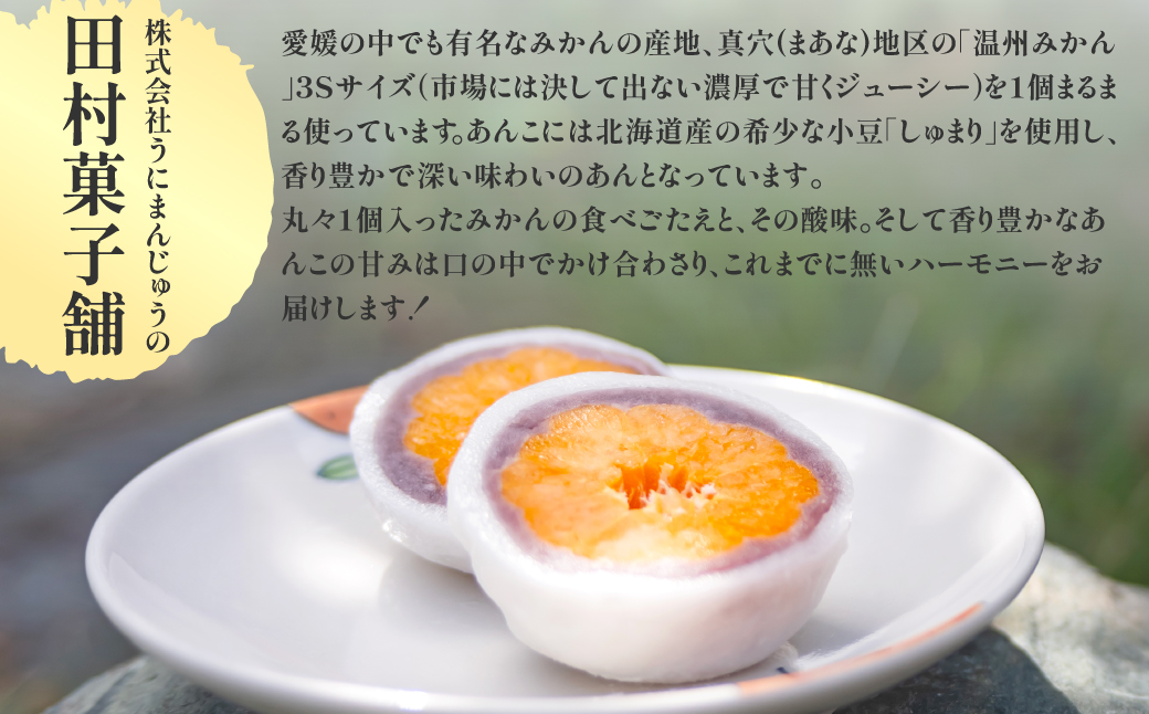 å
«å¯¿ã¿ãã倧çŠ3åã»ãã ããµãããšçŽçš äººæ° ãããã ã©ã³ãã³ã° å€§çŠ ã¿ã£ã¡ããå€§çŠ æž©å·ã¿ãã ãåç£ ã»ãã å
«æš¹ã¿ãã è©°åã èŽç èŽãç© ã®ãã ç°æèåè æåªç äŒæ¹çº éæç¡æã IKTK005