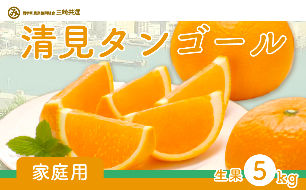 【先行予約】【家庭用】清見タンゴール 5kg ※離島への配送不可（2026年3月上旬より順次発送予定） IKTBD017