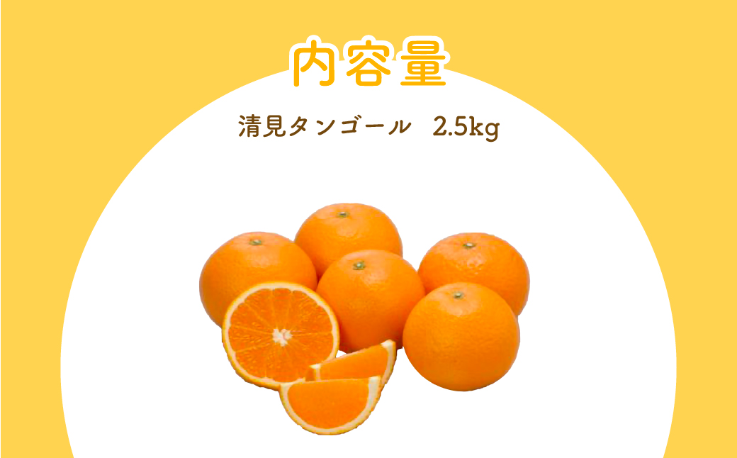 清見タンゴール（Pプラ包装・生果2.5kg）※離島への配送不可 IKTBD006