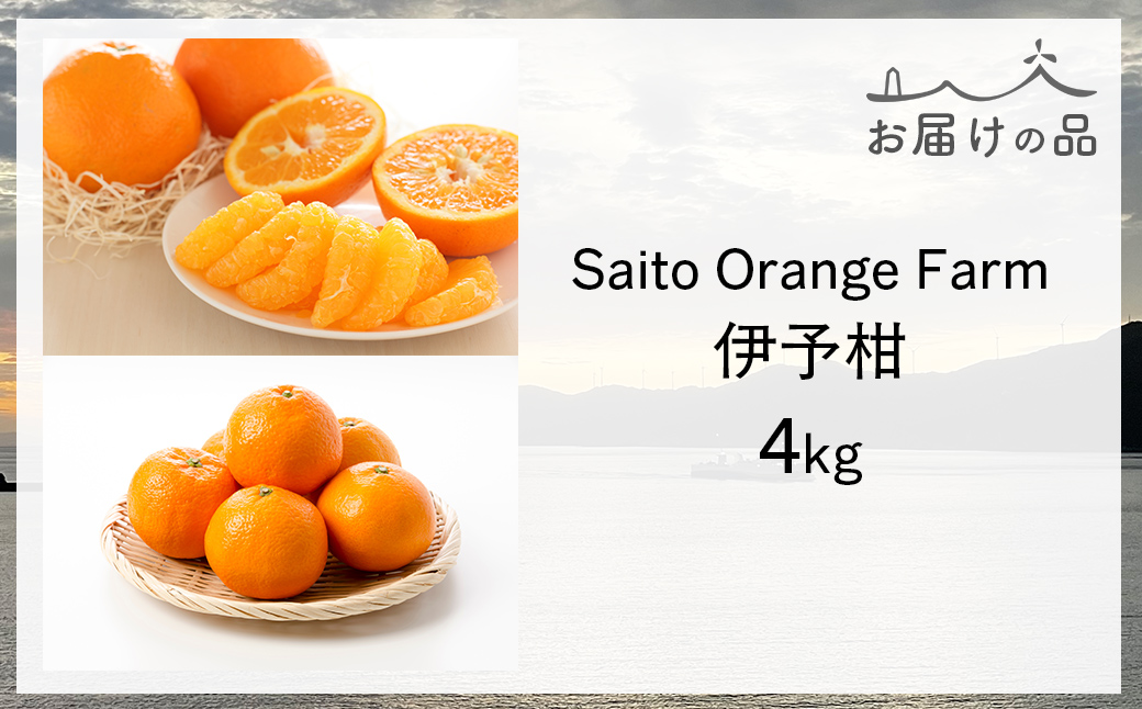 【先行予約】Saito Orange Farm ご家庭用 伊予柑4kg （2027年1月中旬頃より順次発送予定） IKTAQ027