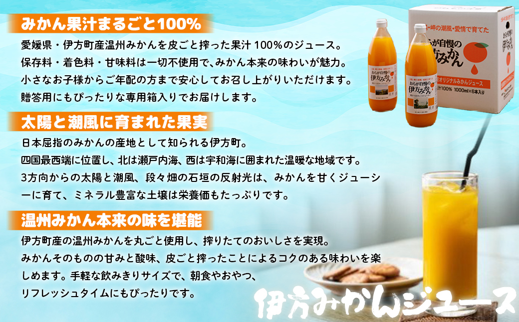 【先行予約】【愛媛県産】おらが自慢の伊方みかんジュース（1000ml×6本）ストレート果汁100％（2025年12月より順次発送） IKTI008