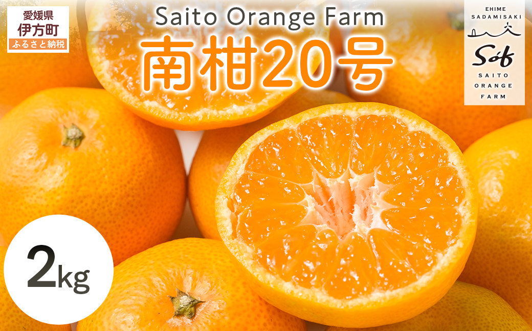 【先行予約】Saito Orange Farmの南柑20号2kg（2026年12月下旬頃より順次発送予定） IKTAQ033