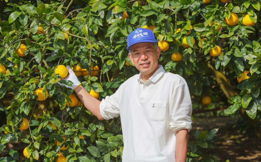 【先行予約】【農家直送】愛媛県産 清見タンゴール 贈答用 4.5kg（2026年3月上旬〜4月中旬頃発送予定） IKTC007 