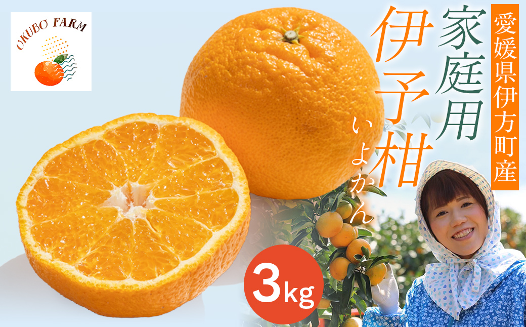 【先行予約】【家庭用】伊予柑 3kg ※北海道・沖縄・離島への配送不可 （2027年1月16日より順次発送予定） IKTAT004 