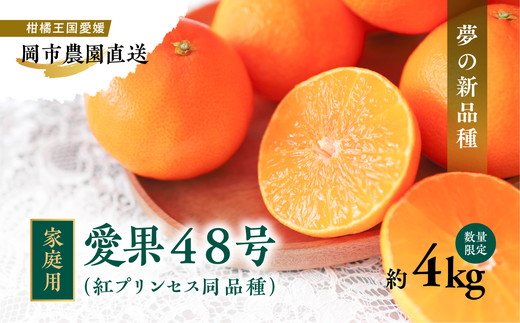 【先行予約】【数量限定】【訳あり】＼農園直送／愛媛県産愛果48号 約4kg｜柑橘 みかん ミカン 蜜柑 果物 フルーツ 愛媛県産 ※離島への配送不可 ※2025年2月下旬～3月下旬頃に順次発送予定